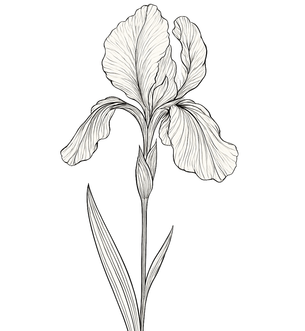 Victoria English Interiors