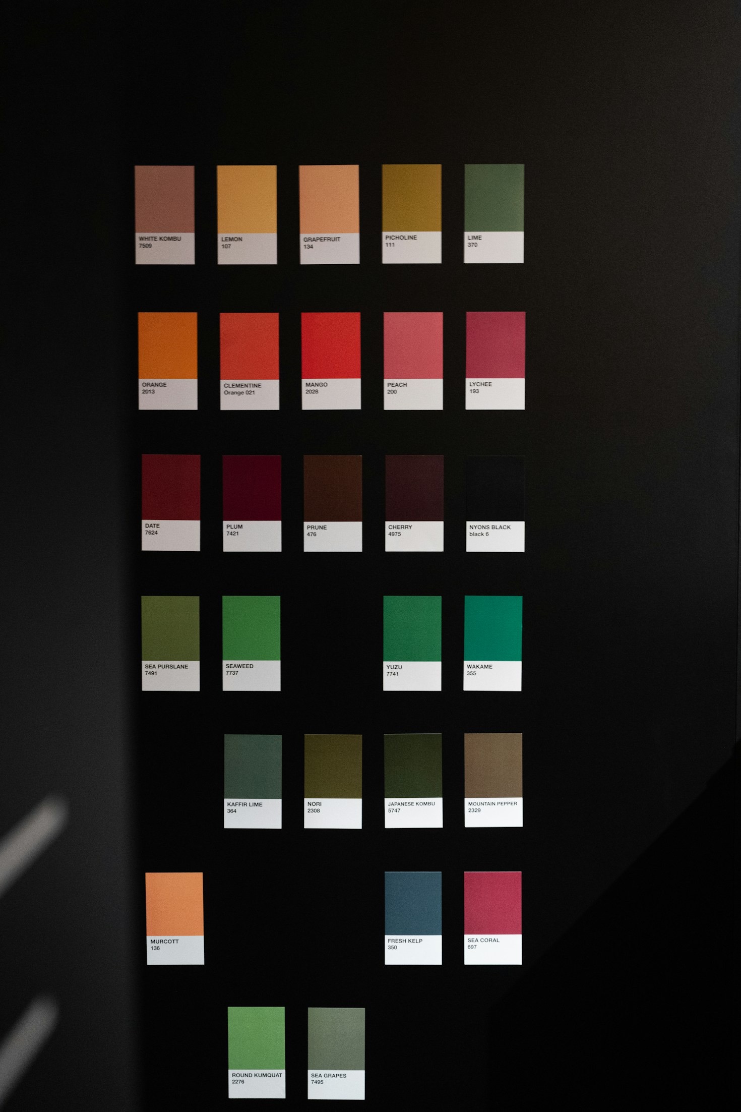 Elegant Design Ideas for Modern Sussex Living